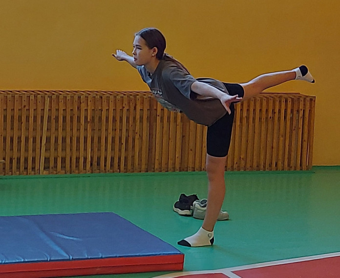В МАОУ &quot;Нежинский лицей&quot; прошёл школьный этап олимпиады по физической культуре..