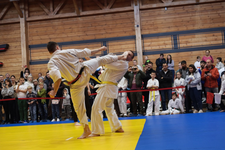 Обучающиеся лицея - призёры Чемпионата Оренбургской области по Киокусинкай каратэ.
