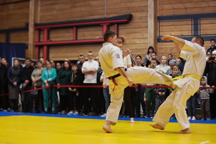 Обучающиеся лицея - призёры Чемпионата Оренбургской области по Киокусинкай каратэ.
